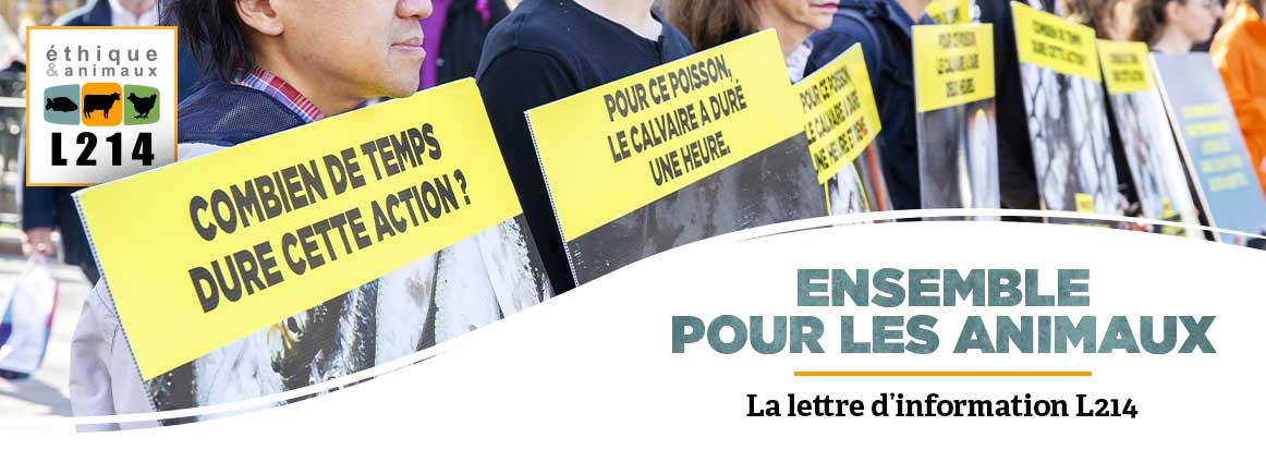 Lettre d'info L214