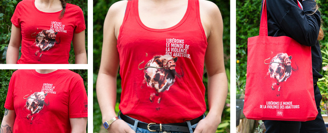 T-shirts MFA
