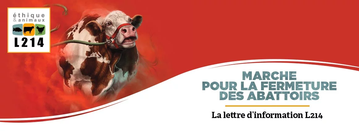 Lettre d'info L214