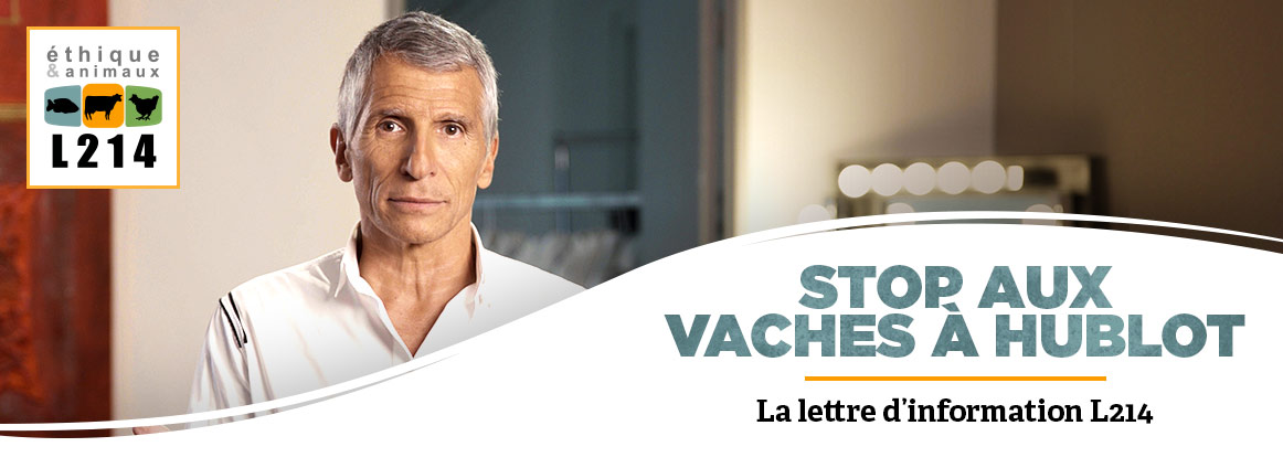 Lettre d'info L214