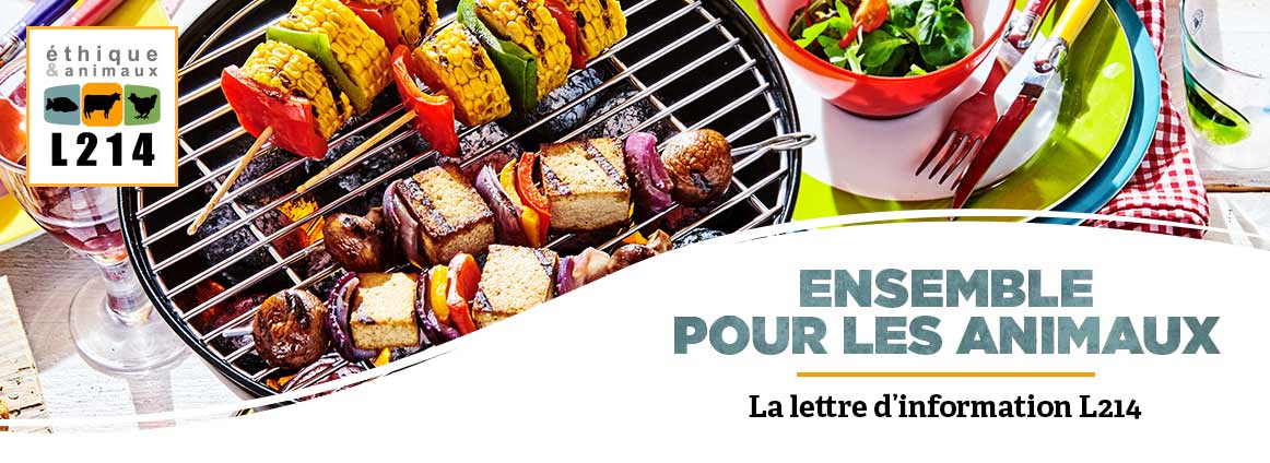 Menus estivaux sur Vegan Pratique