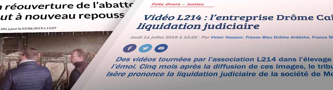 Suite à nos enquêtes
