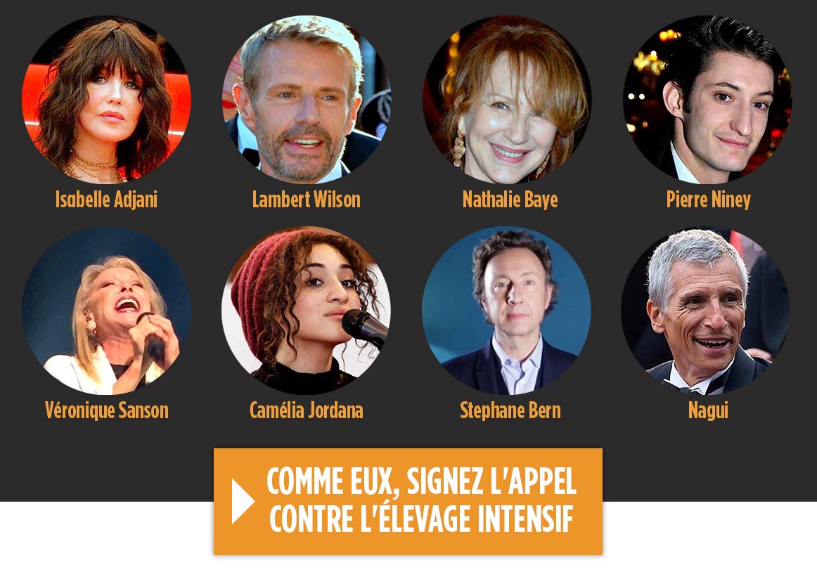 Les personnalités signataires de l'Appel contre l'élevage intensif