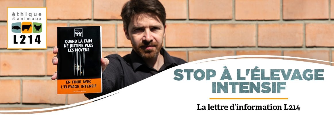 Lettre d'info L214