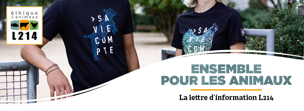 Lettre d'info L214