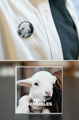 Les badges et stickers Scrunky