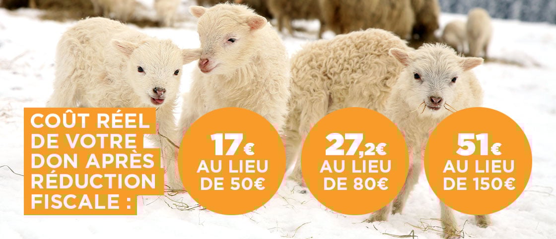Un don de 50 € vous revient à 17 € après réduction fiscale