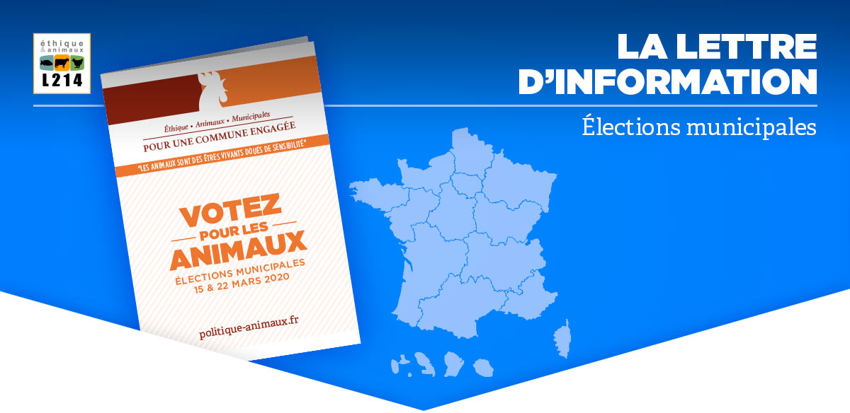 Lettre d'info L214