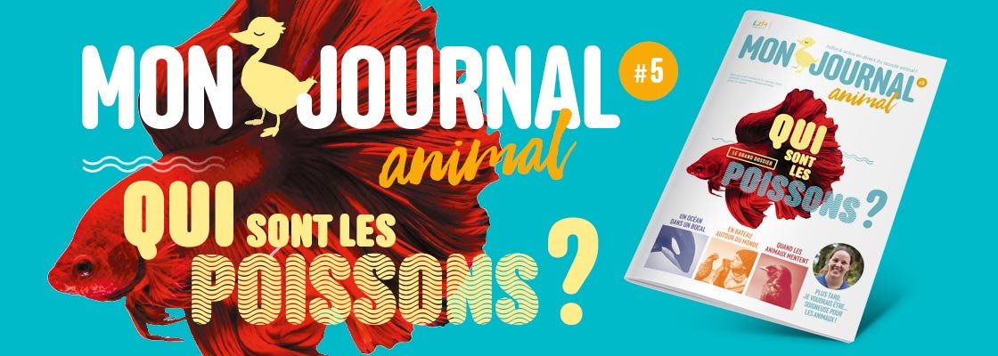 Découvrez le dernier numéro de Mon journal animal