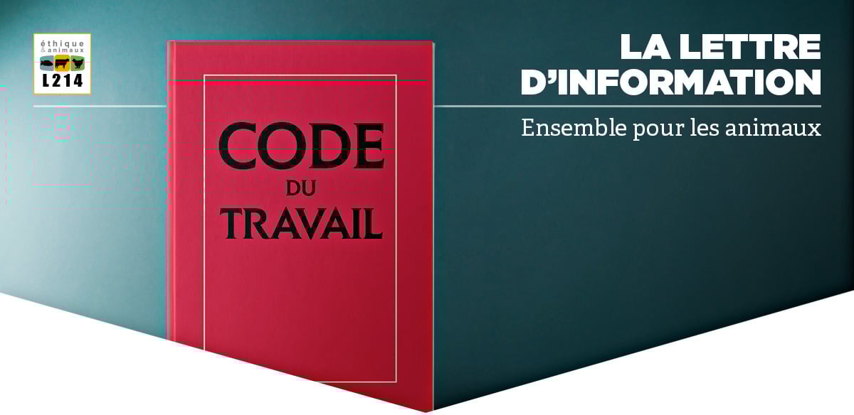 Lettre d'info L214