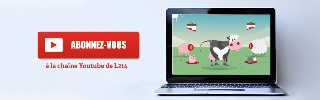 Abonnez-vous à la chaîne YouTube de L214