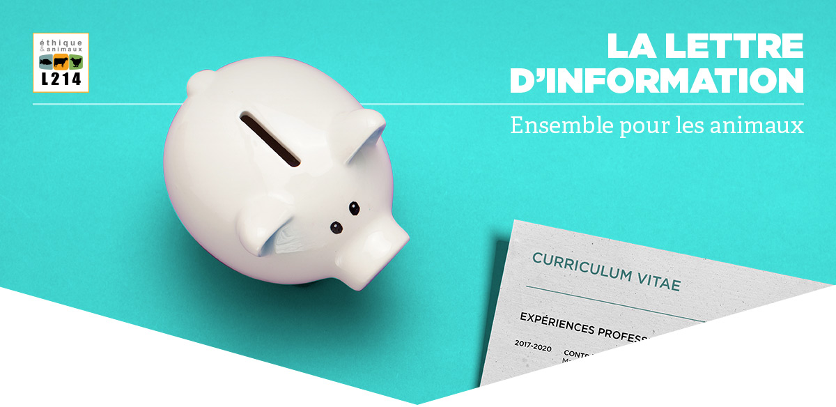 Lettre d'info L214