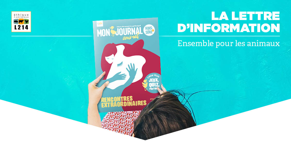 Lettre d'info L214