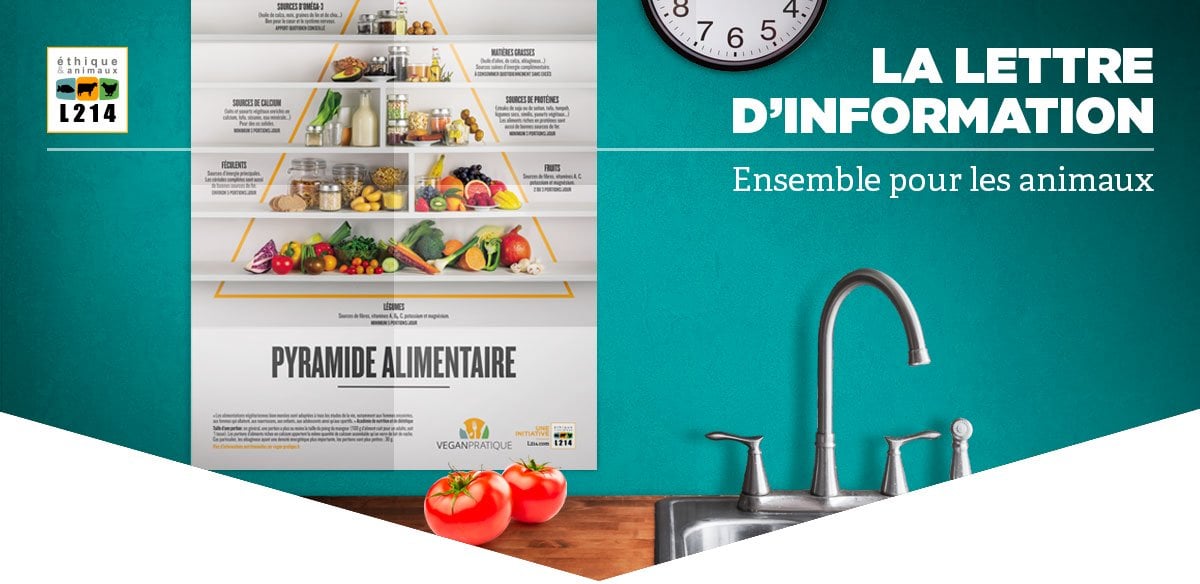 Lettre d'info L214