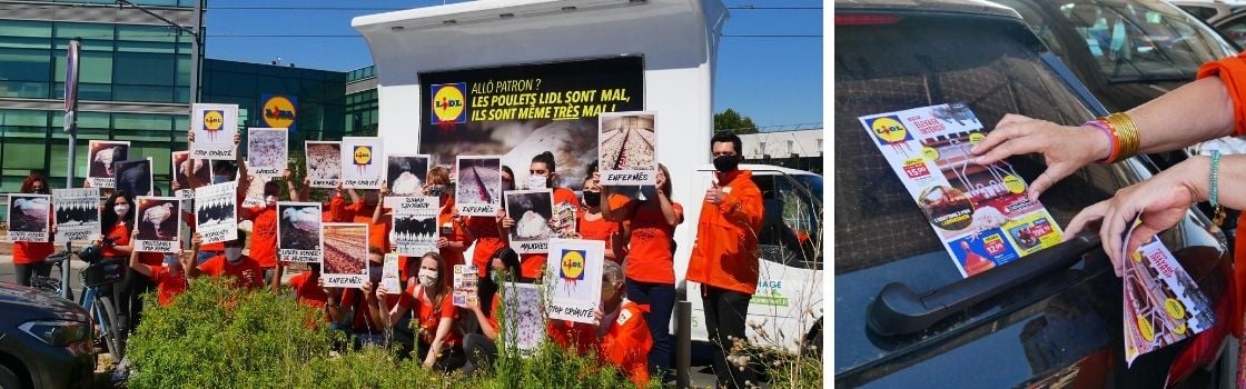https://animaux.l214.com/manifestations/2020/poulets-campagne-lidl