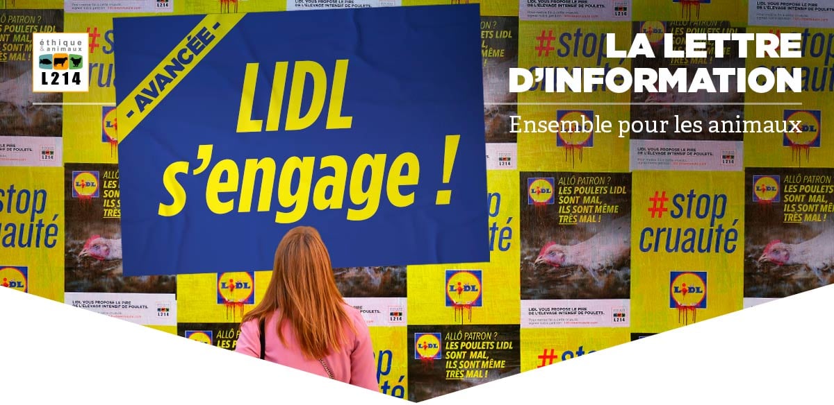 Lettre d'info L214