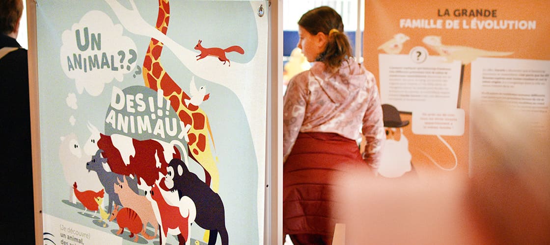 Des expositions pour les plus jeunes