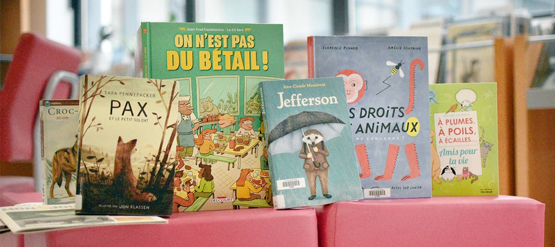 Le CDI des animaux