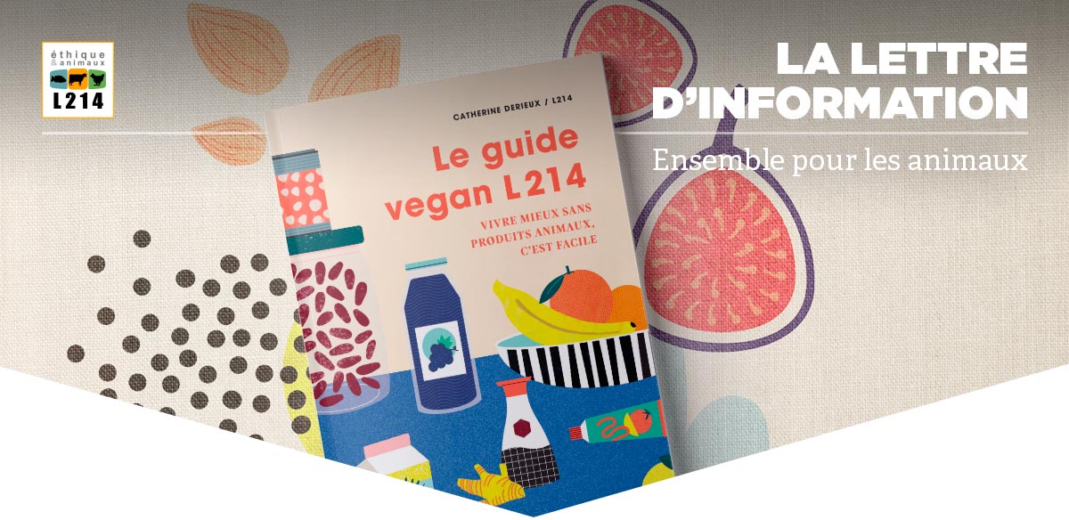 Lettre d'info L214