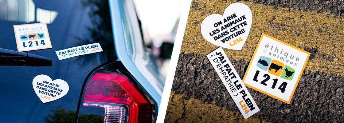 Les stickers L214 pour la voiture