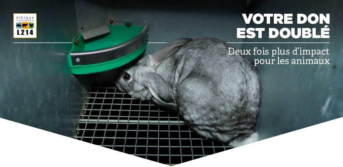 Votre don, 2 fois plus efficace pour les animaux