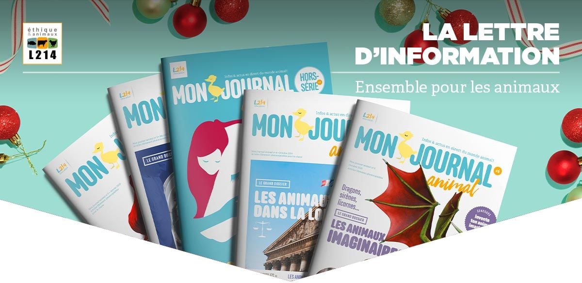 Lettre d'info L214