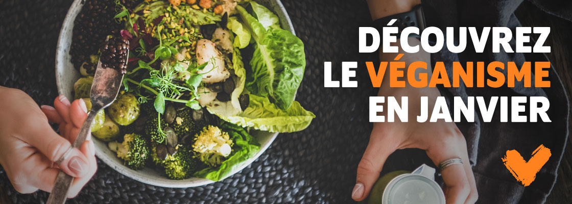 Inscription au défi Veganuary