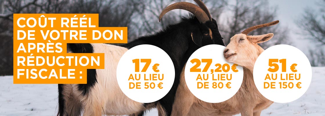 Un don de 50 € vous revient à 17 € après réduction fiscale