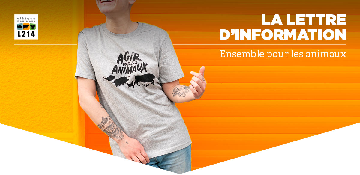 Lettre d'info L214