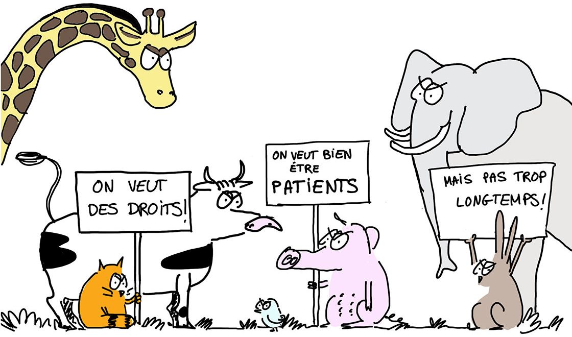 Dessin de Rosa B.