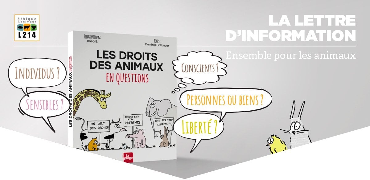 Lettre d'info L214