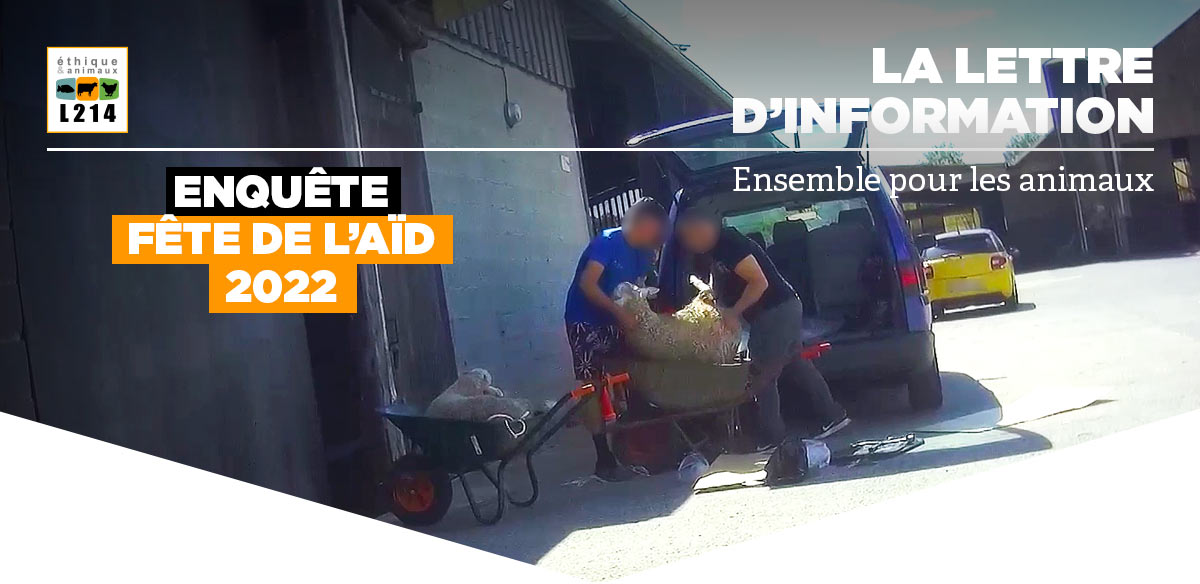 Lettre d'info L214
