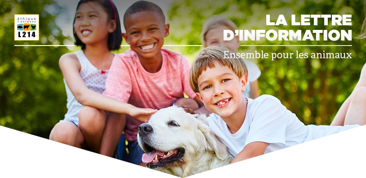 Lettre d'info L214