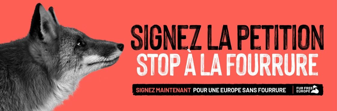 Signez l'ICE
