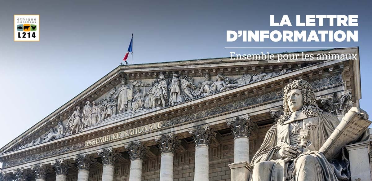 Lettre d'info L214