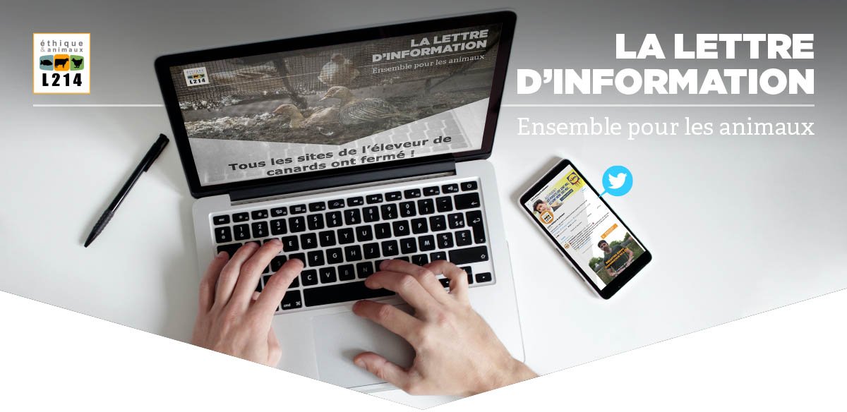 Les offres d'emploi