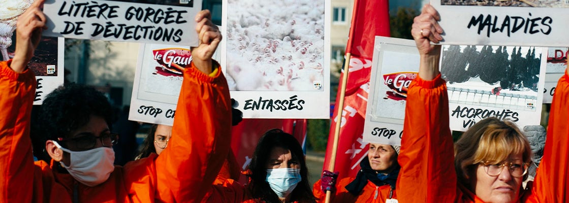 manifestation