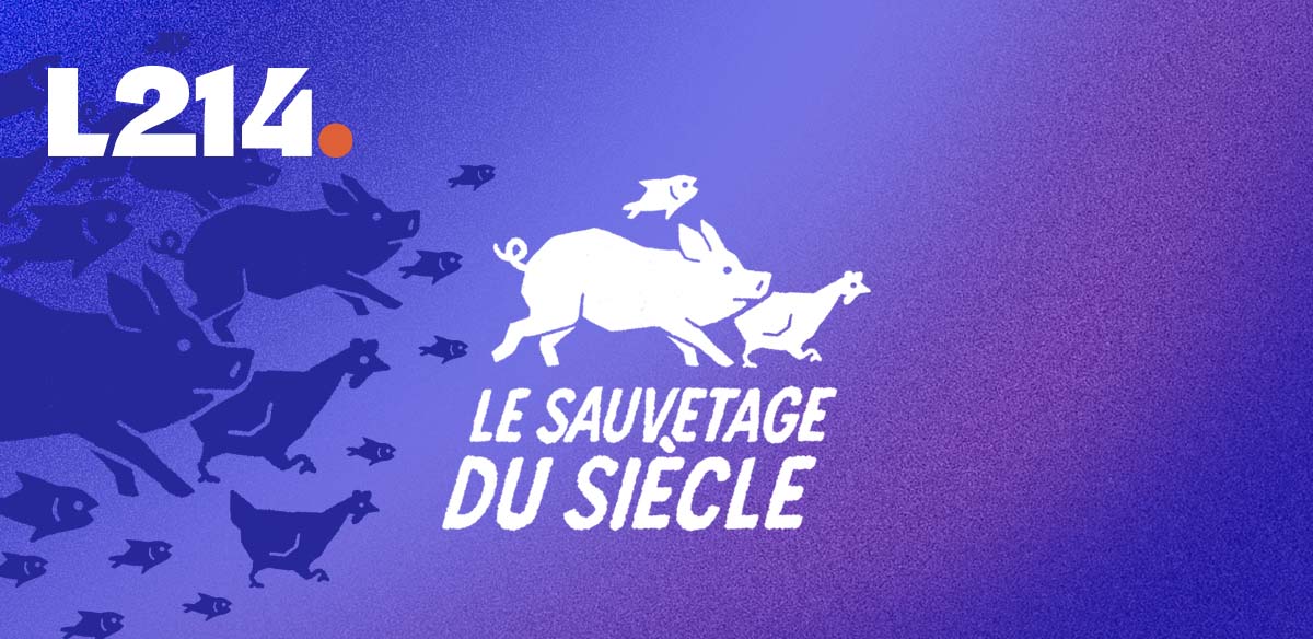 Lettre d'info L214