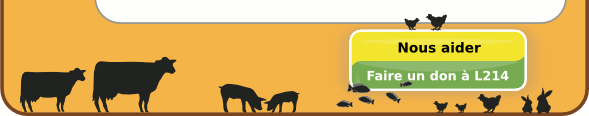 Nous aider&nbsp;: Faites un don à L214